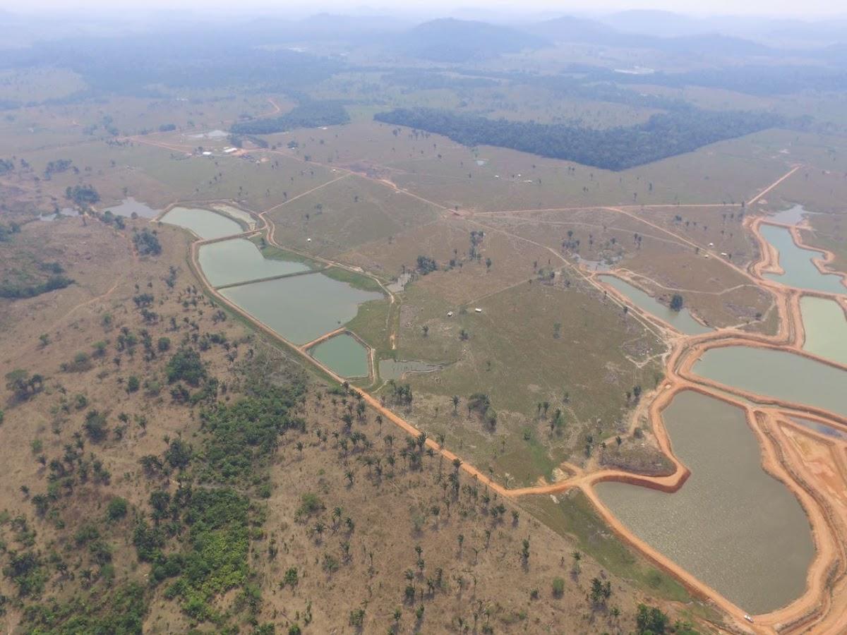 Registro de marca em Cacaulândia, Rondônia