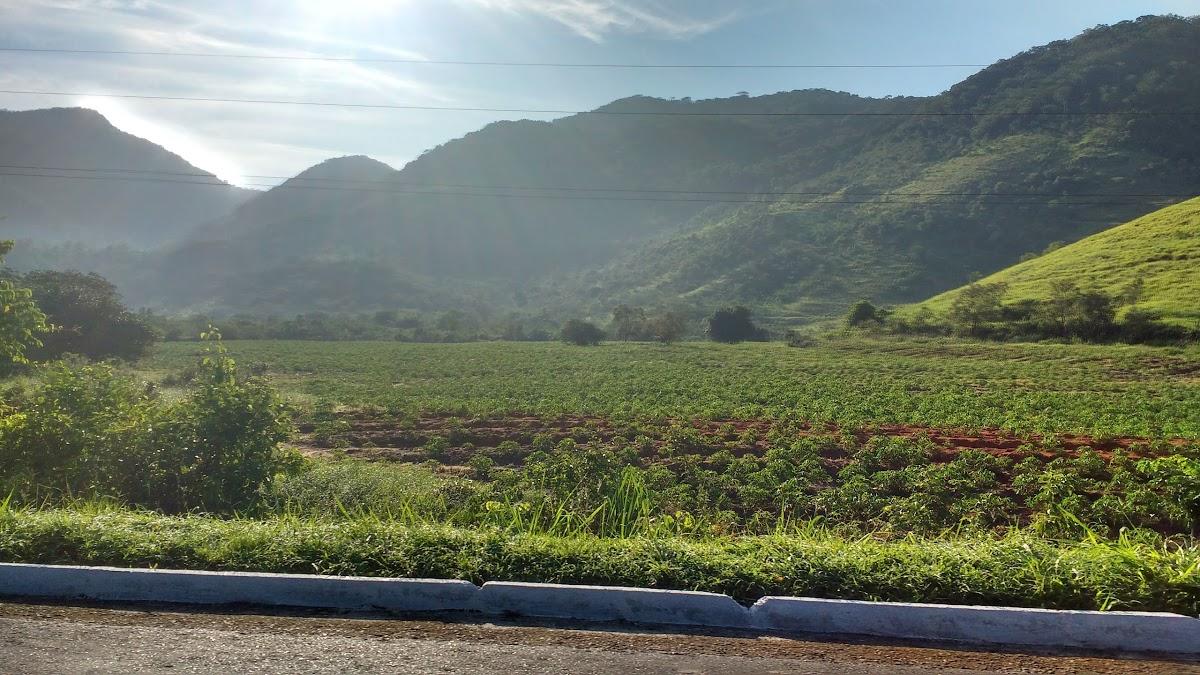Registro de marca em Cachoeiras de Macacu, Rio de Janeiro