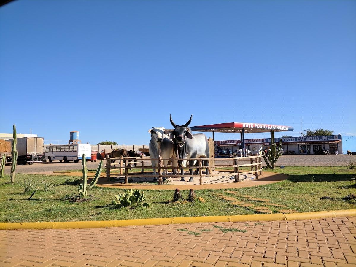 Registro de marca em Cafarnaum, Bahia