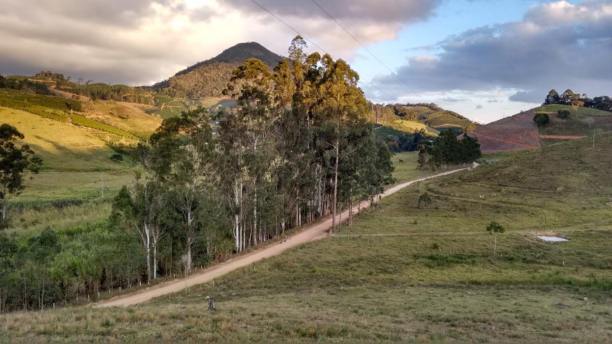 Registro de marca em Caiana, Minas Gerais