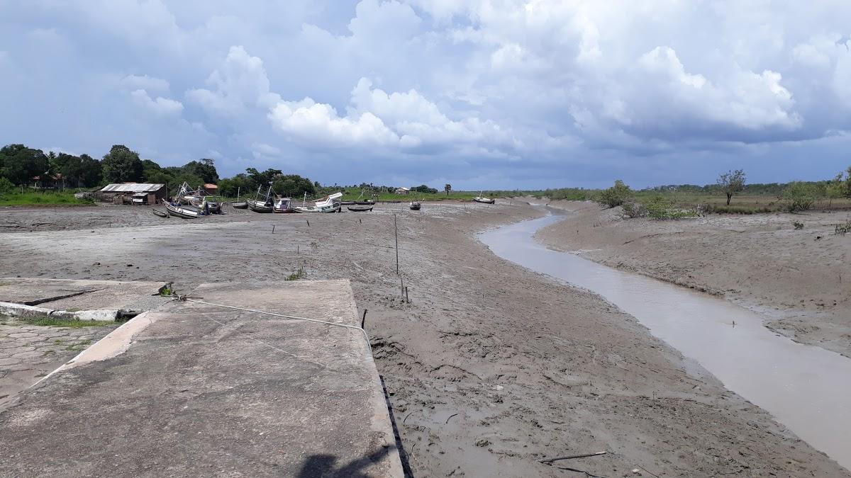 Registro de marca em Cajapió, Maranhão