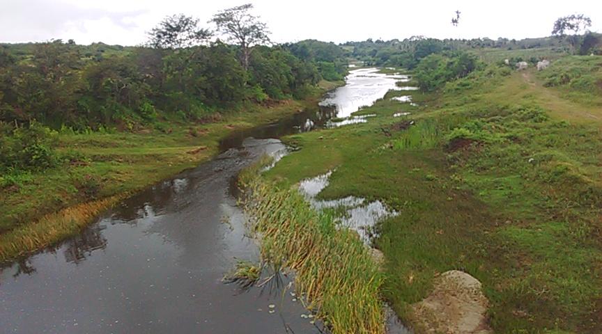 Registro de marca em Caldas Brandão, Paraíba