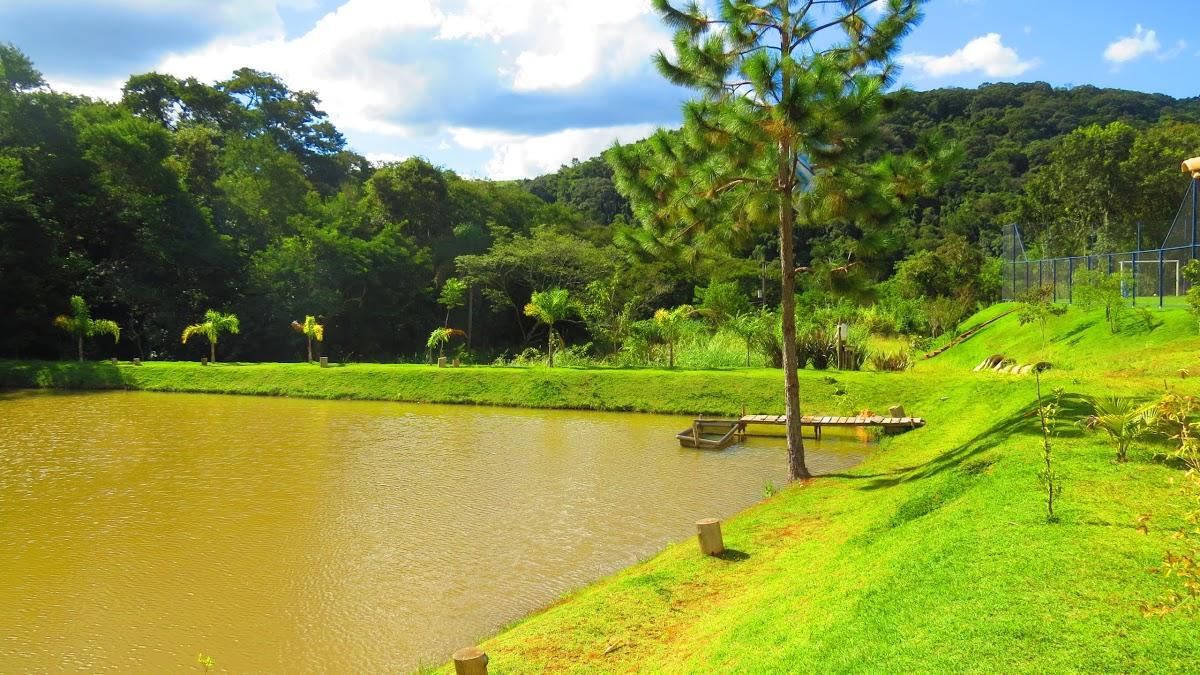 Registro de marca em Camamu, Bahia