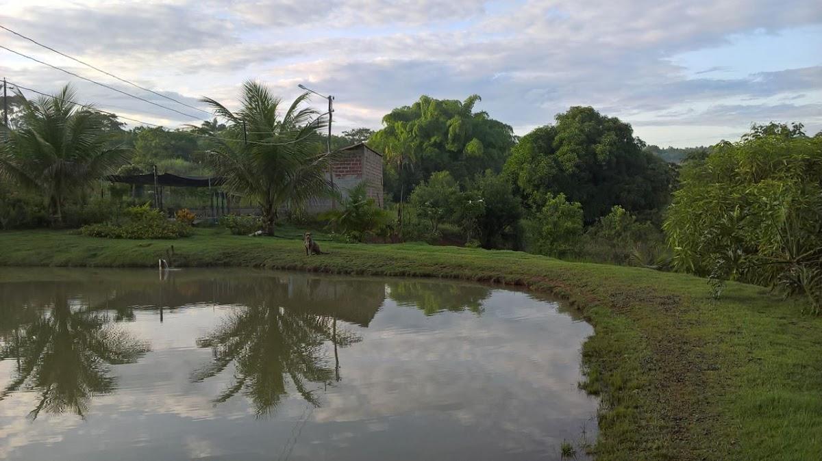 Registro de marca em Campestre de Goiás, Goiás