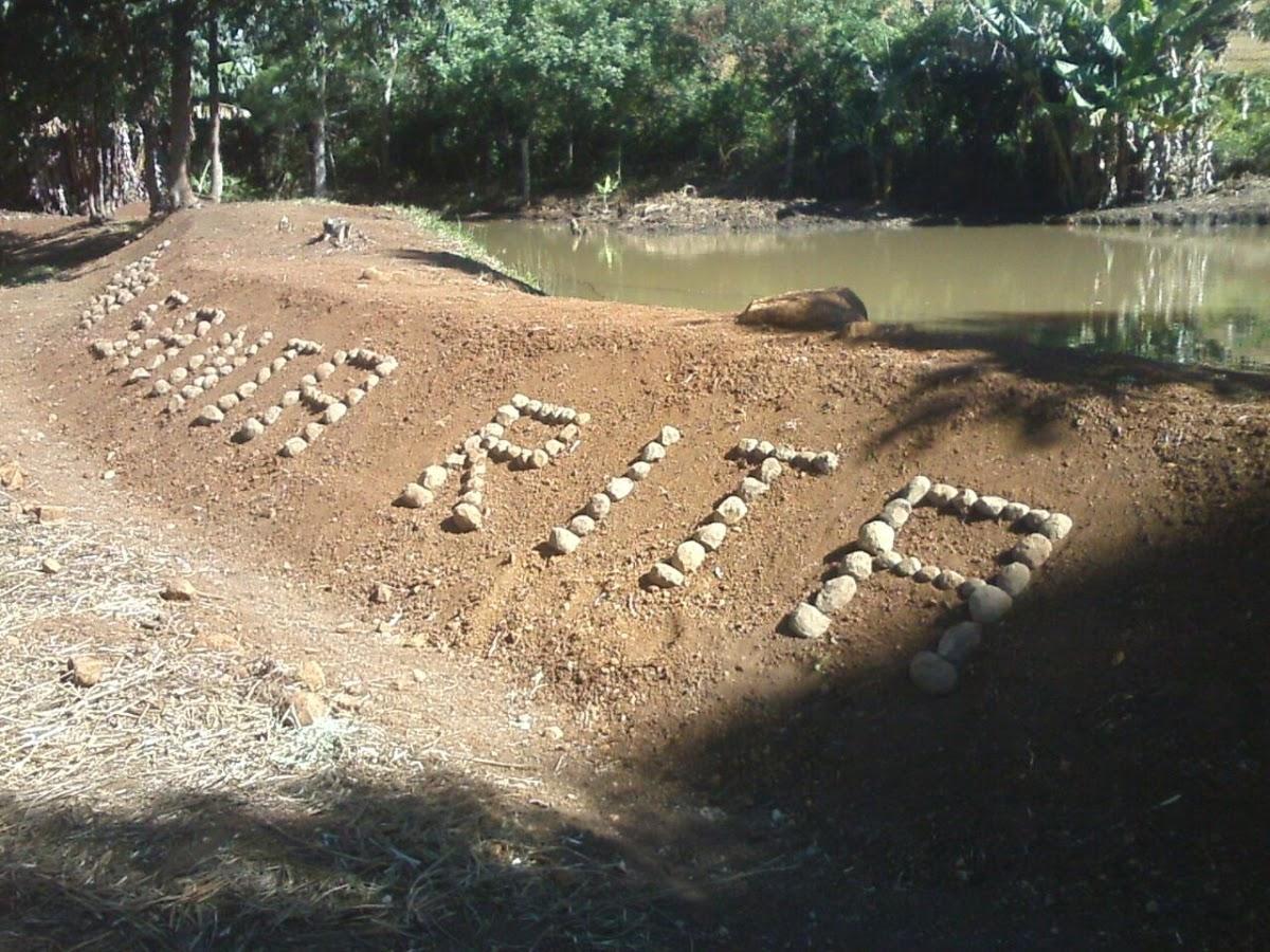 Registro de marca em Campina do Simão, Paraná