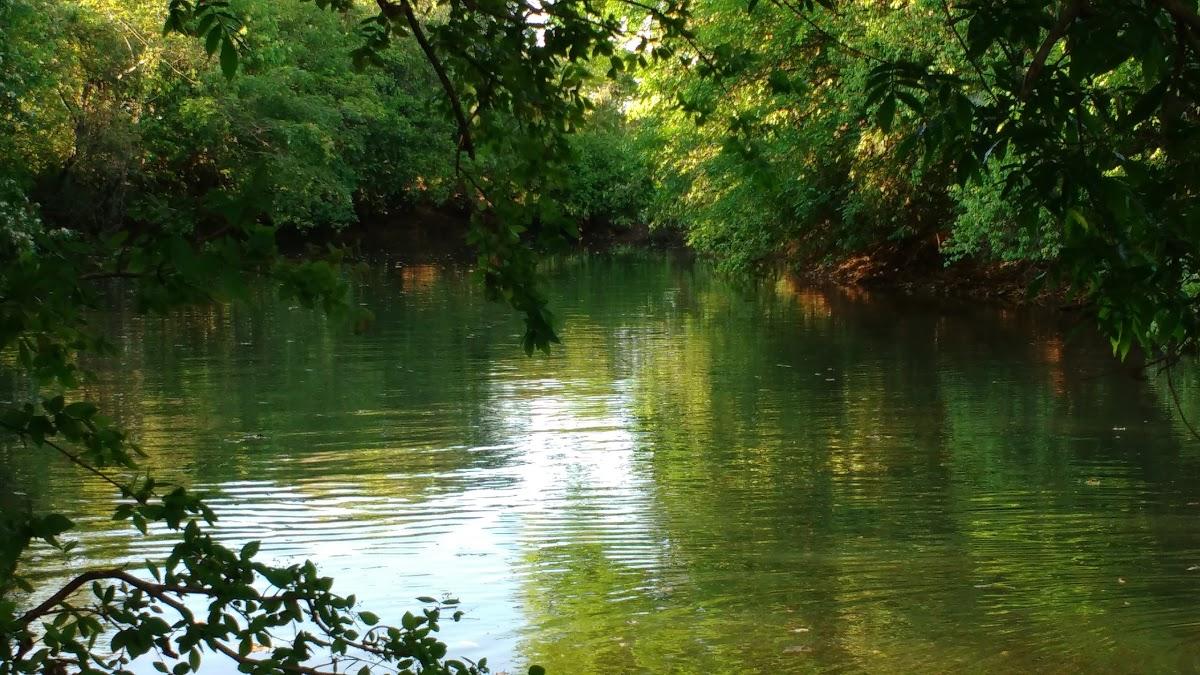 Registro de marca em Campina Verde, Minas Gerais