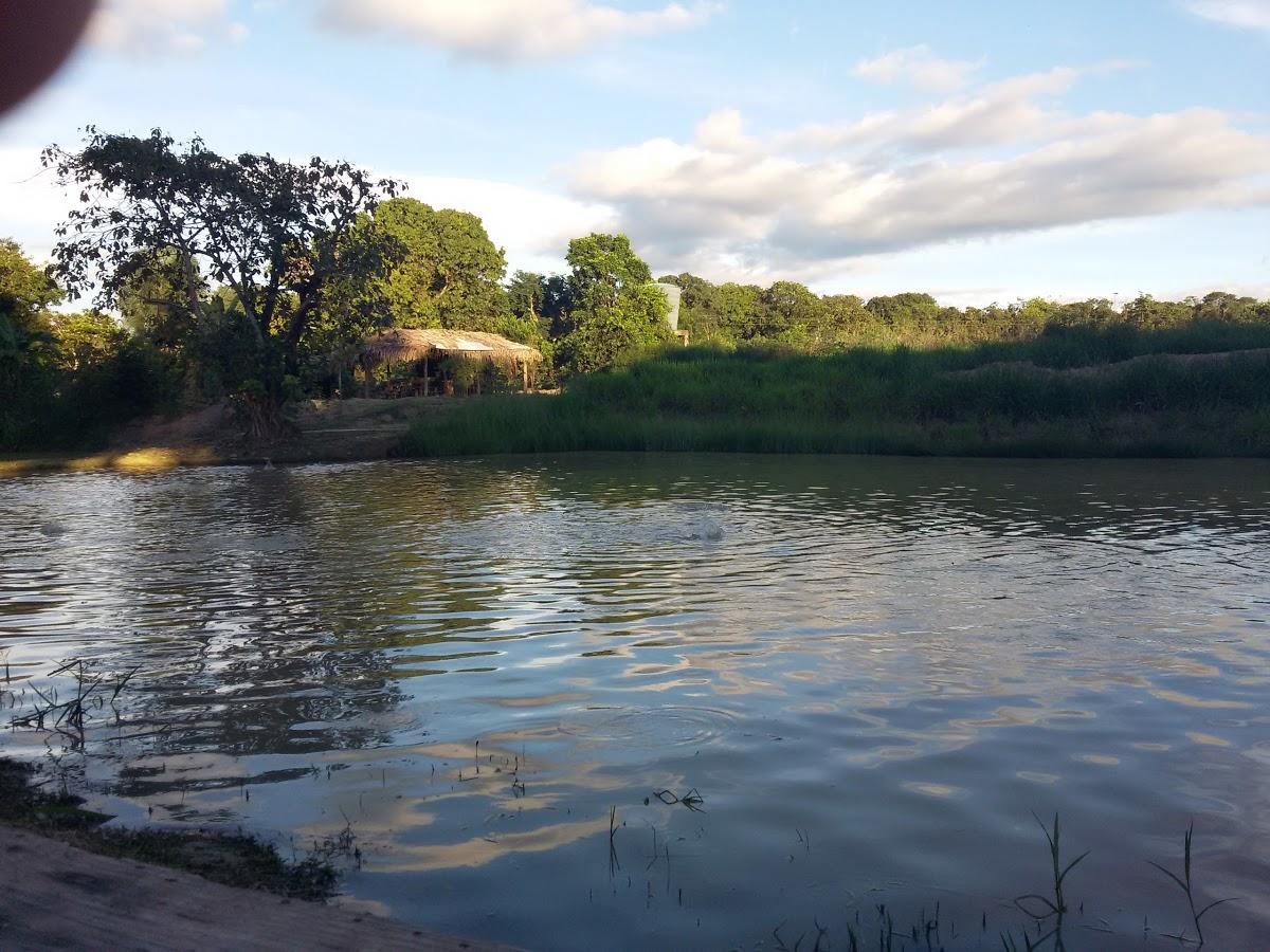 Registro de marca em Campinorte, Goiás