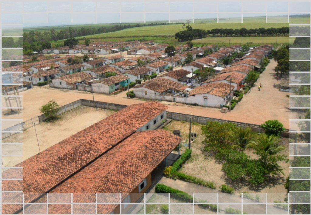 Registro de marca em Campo Alegre, Alagoas