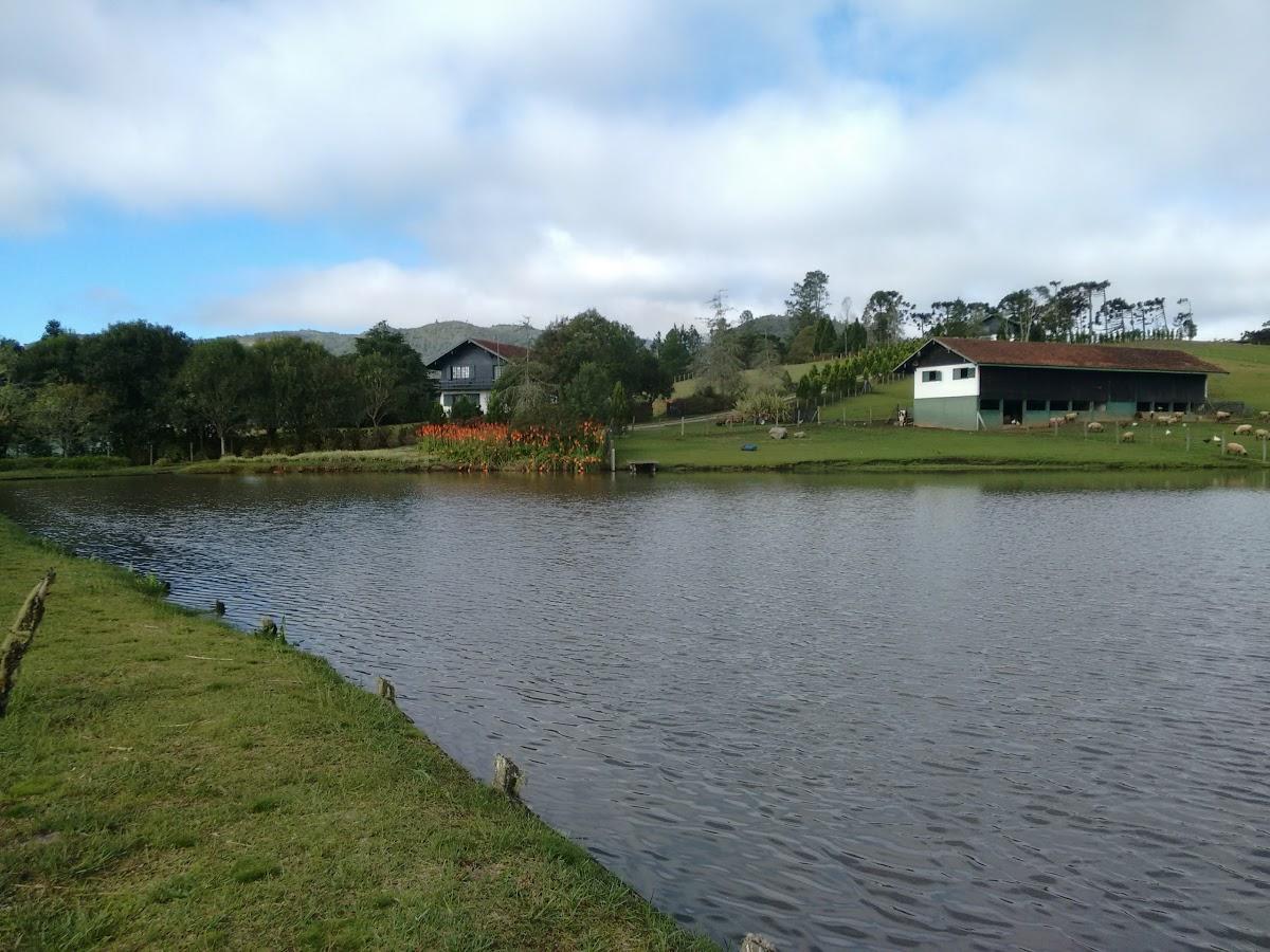 Registro de marca em Campo Alegre, Santa Catarina