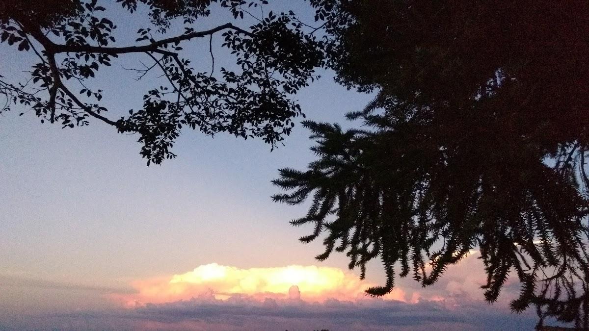 Registro de marca em Campo Bonito, Paraná