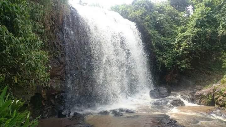 Registro de marca em Canápolis, Minas Gerais