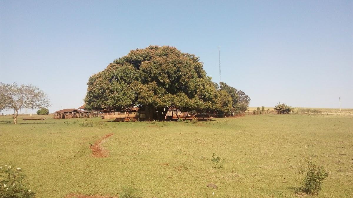 Registro de marca em Cândido Mota, São Paulo