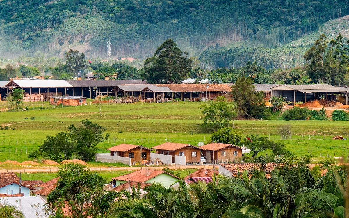 Registro de marca em Canelinha, Santa Catarina