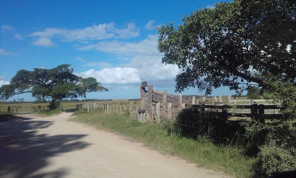 Registro de marca em Capão do Leão, Rio Grande do Sul