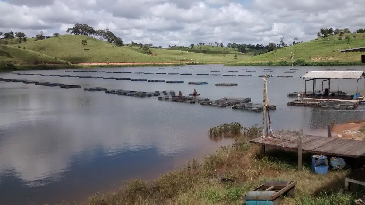 Registro de marca em Capim Branco, Minas Gerais