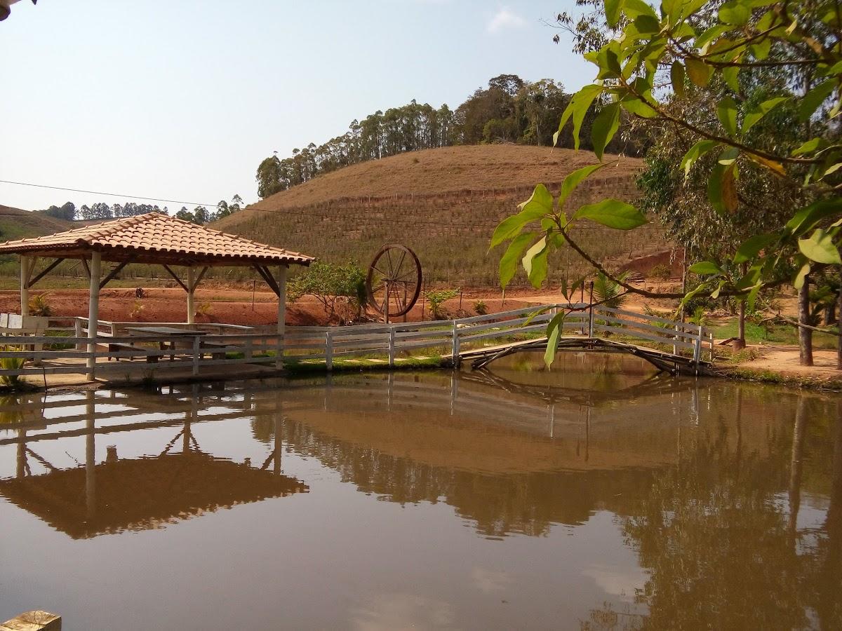 Registro de marca em Caputira, Minas Gerais