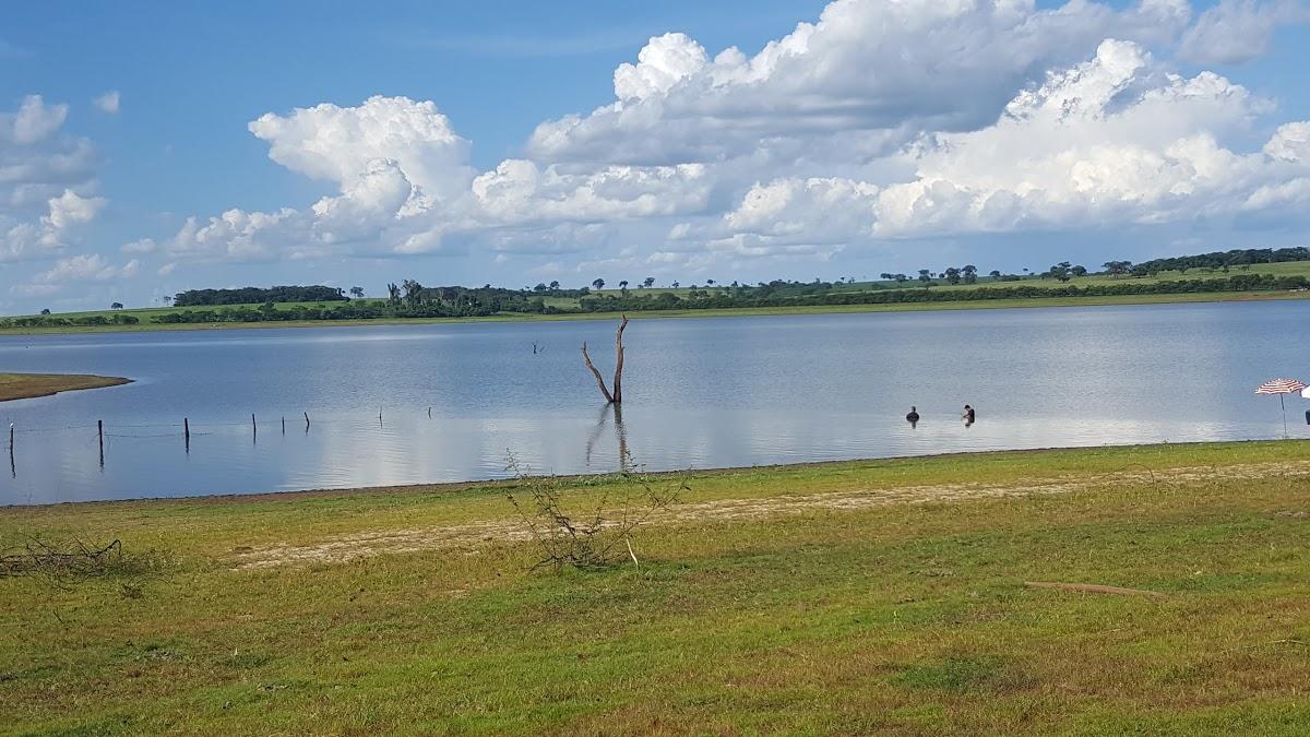 Registro de marca em Cardoso, São Paulo
