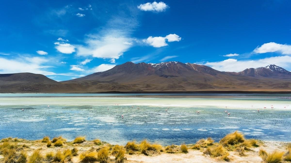 Registro de marca em Careiro da Várzea, Amazonas