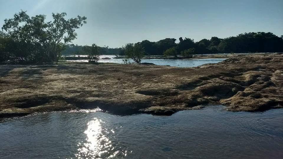 Registro de marca em Carlinda, Mato Grosso