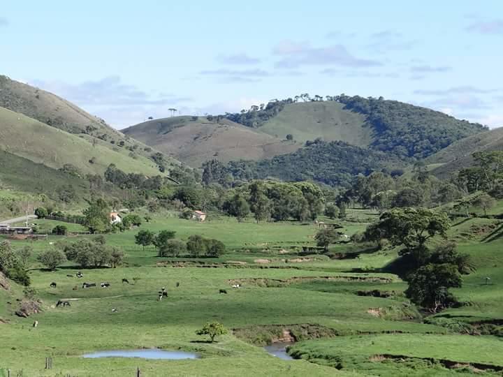 Registro de marca em Carvalhos, Minas Gerais