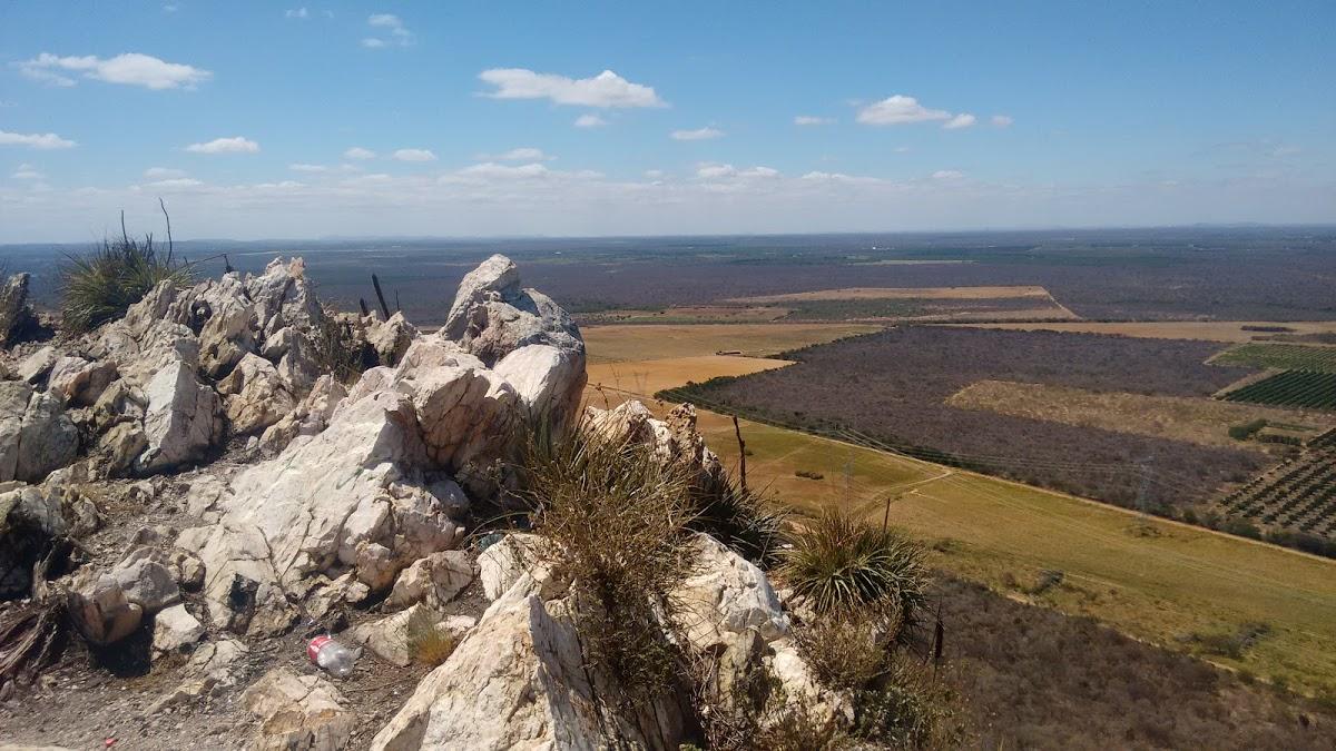 Registro de marca em Casa Nova, Bahia