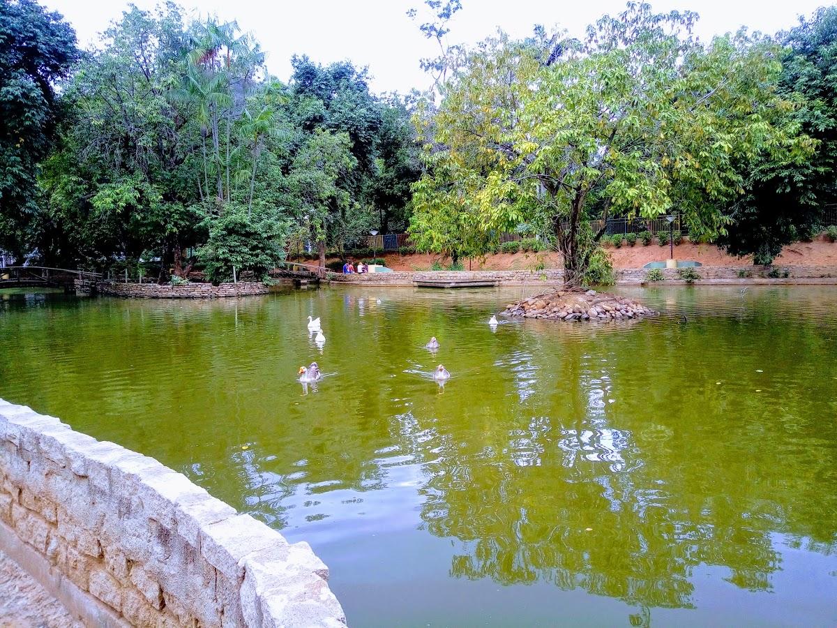 Registro de marca em Castelo, Espírito Santo