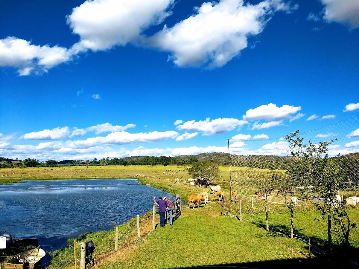 Registro de marca em Caturaí, Goiás