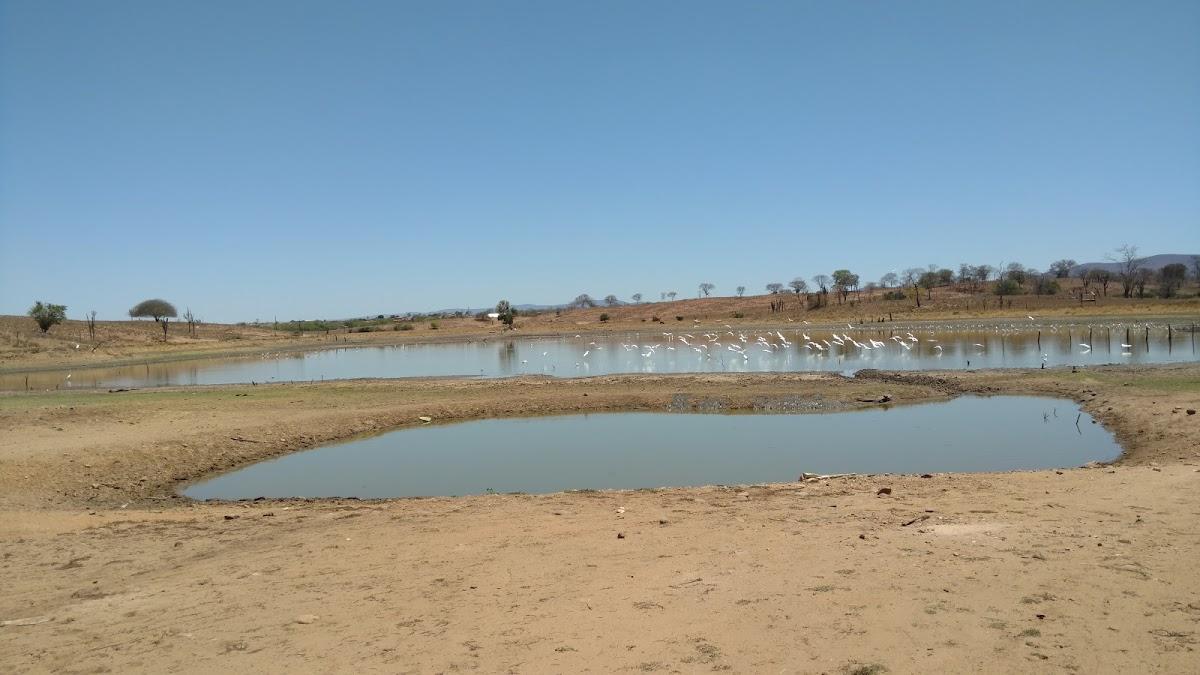 Registro de marca em Caturama, Bahia