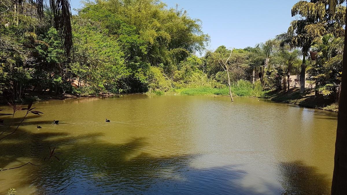 Registro de marca em Cedral, São Paulo