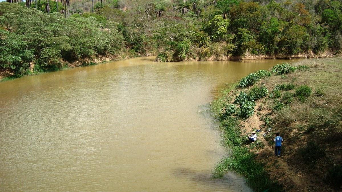 Registro de marca em Cedro do Abaeté, Minas Gerais