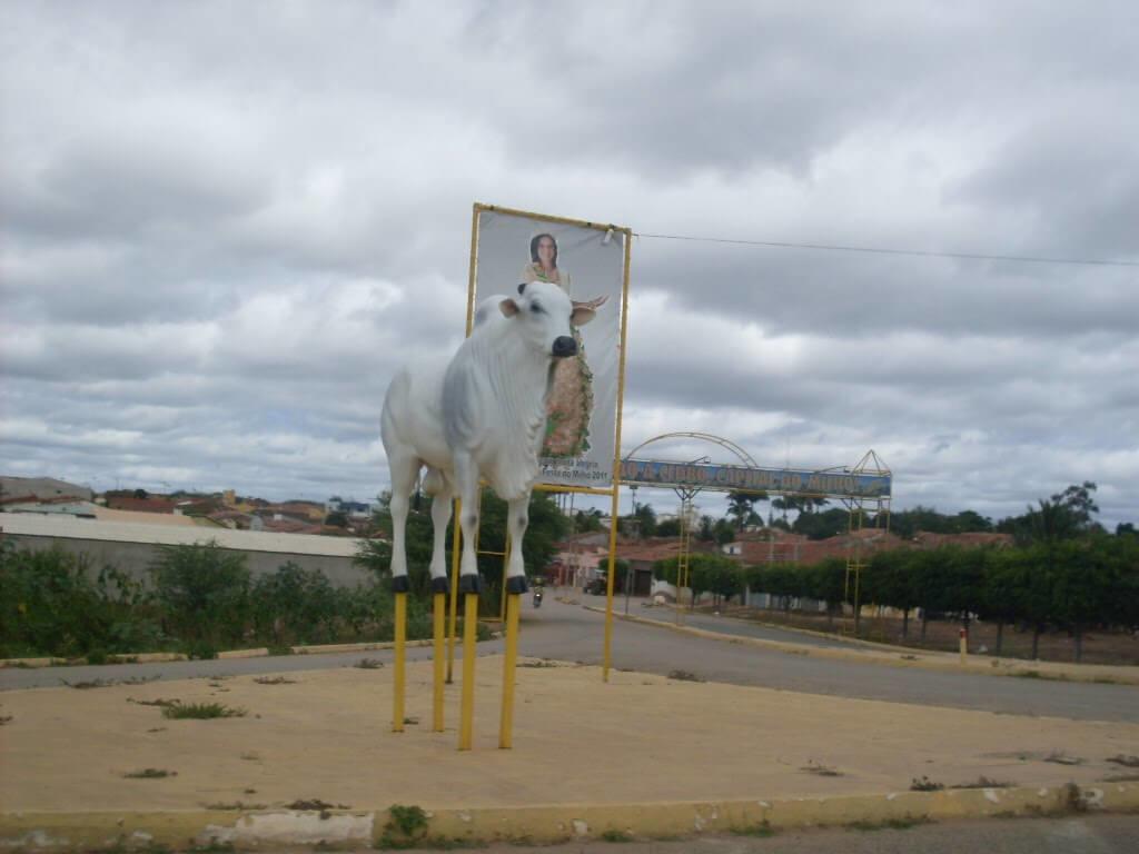 Registro de marca em Cedro, Pernambuco