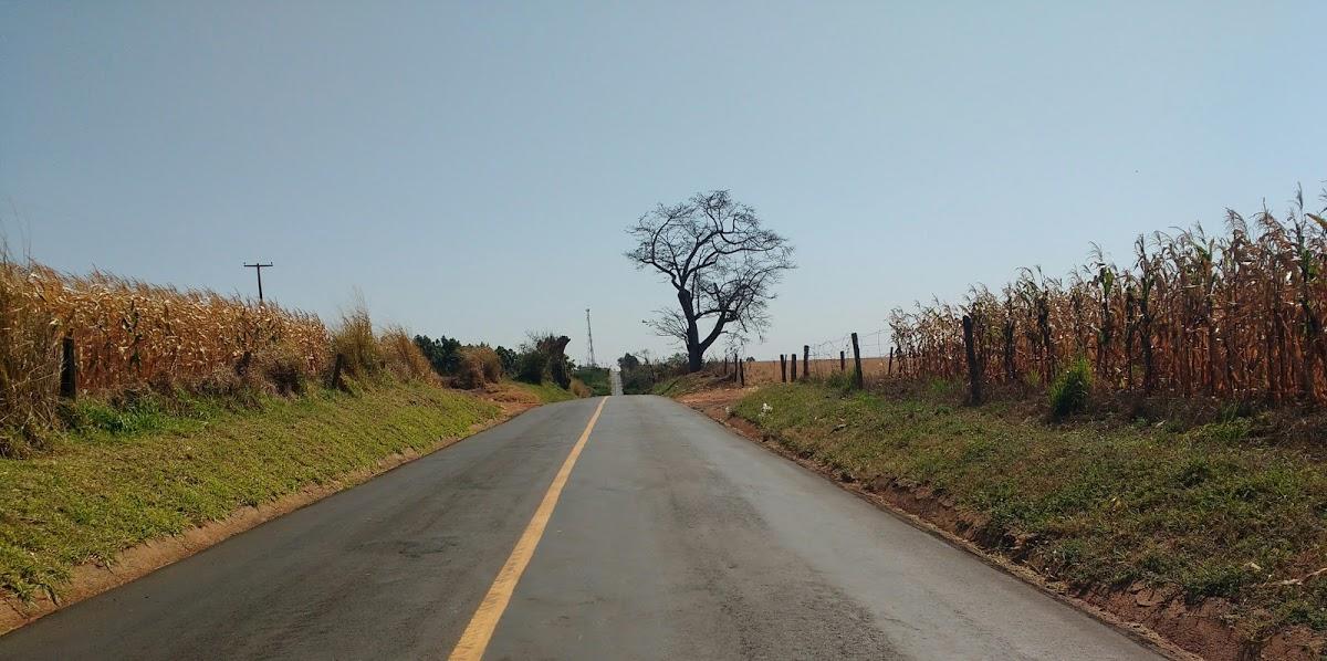 Registro de marca em Centenário do Sul, Paraná