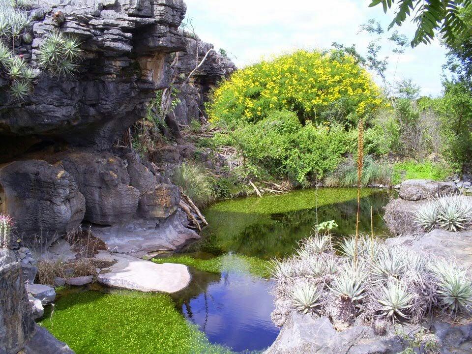 Registro de marca em Central, Bahia