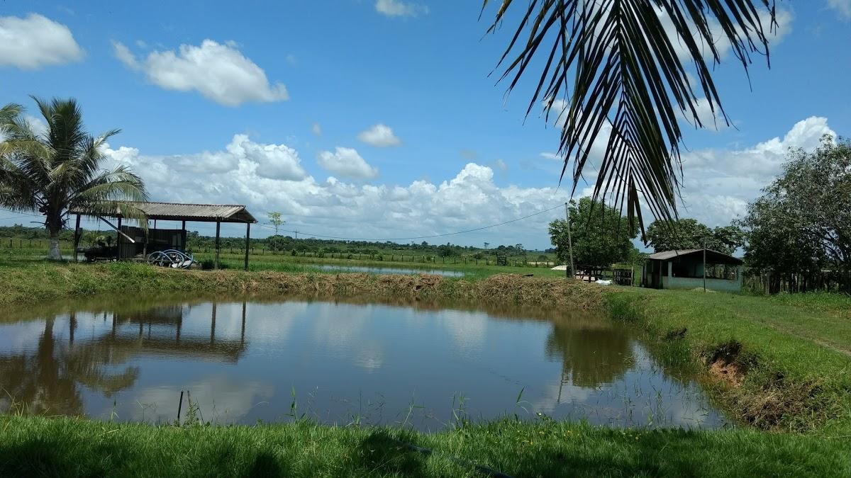 Registro de marca em Centro Novo do Maranhão, Maranhão