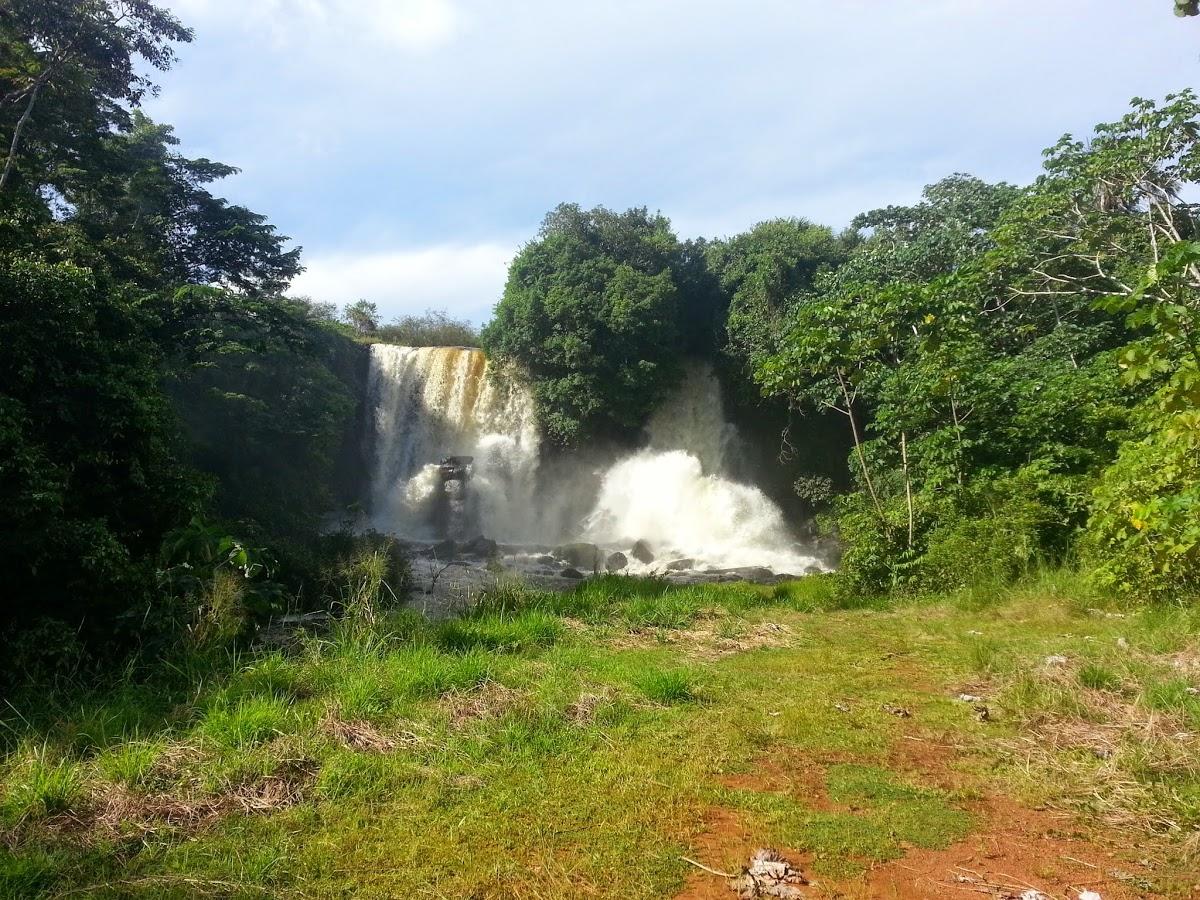 Registro de marca em Chupinguaia, Rondônia