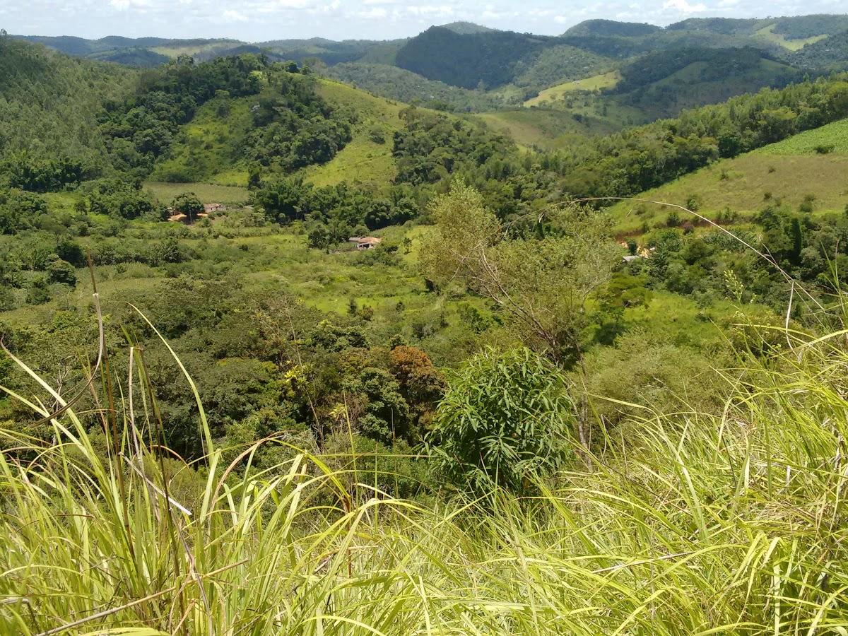 Registro de marca em Cipotânea, Minas Gerais