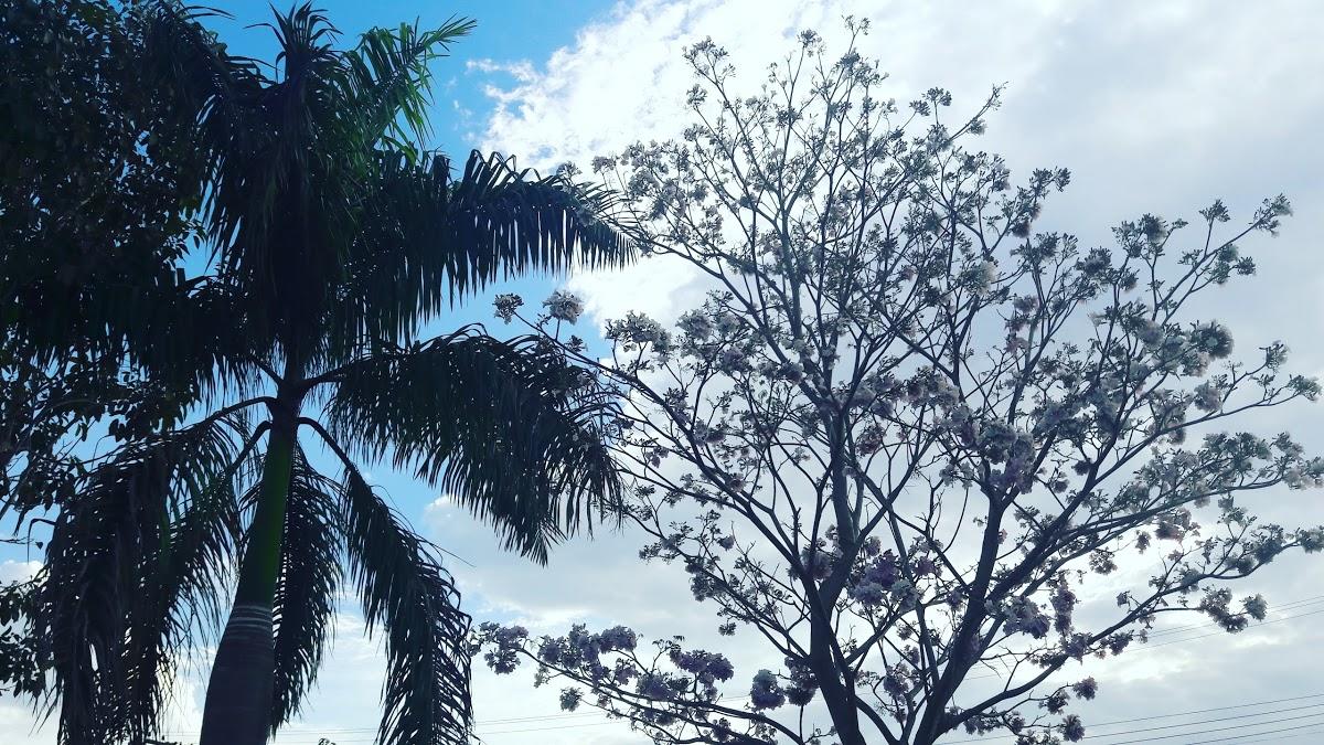 Registro de marca em Cláudia, Mato Grosso