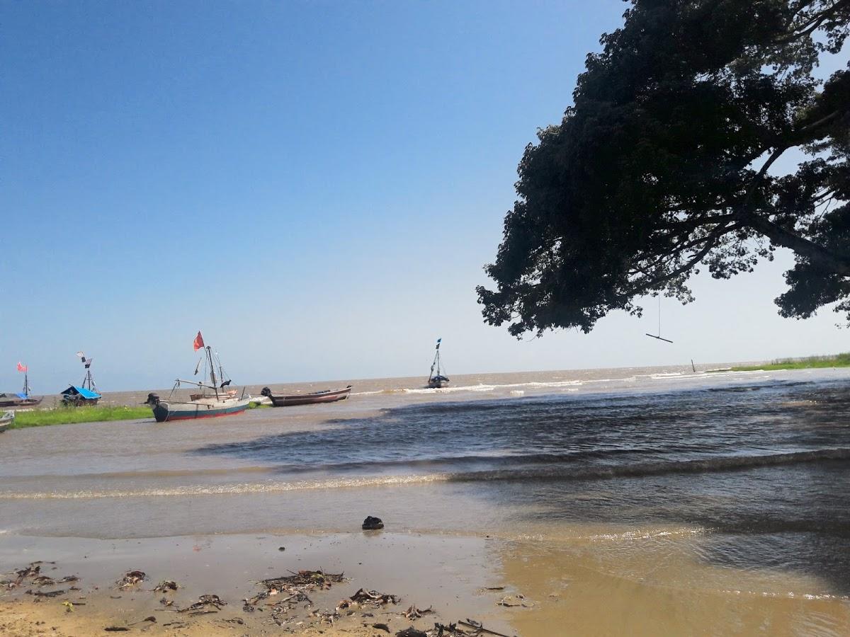 Registro de marca em Colares, Pará