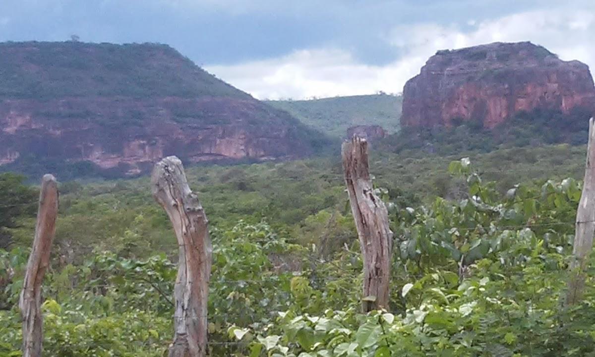 Registro de marca em Colônia do Gurguéia, Piauí