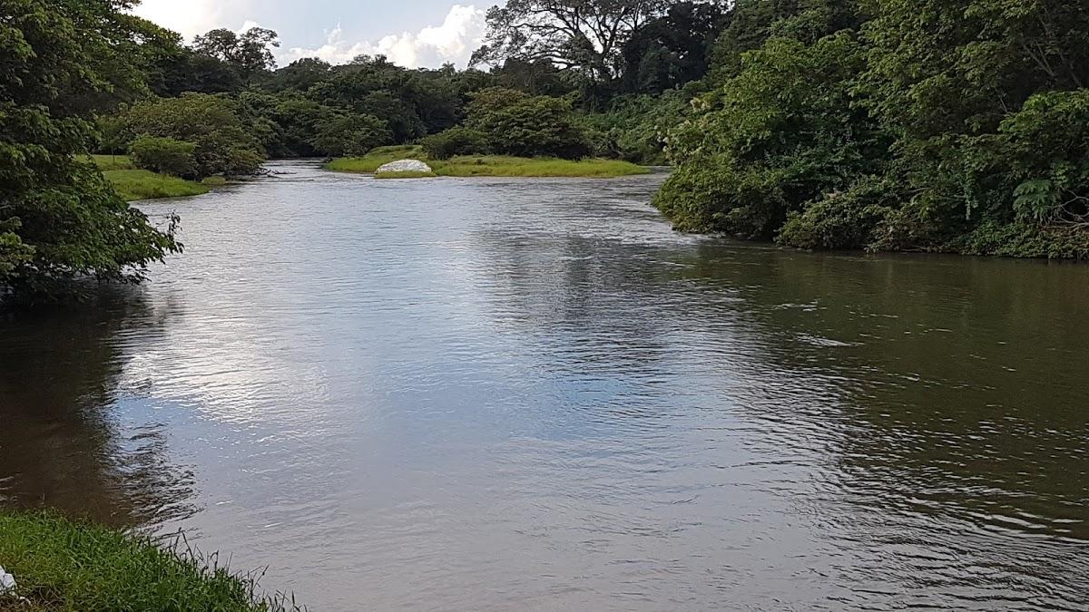 Registro de marca em Combinado, Tocantins