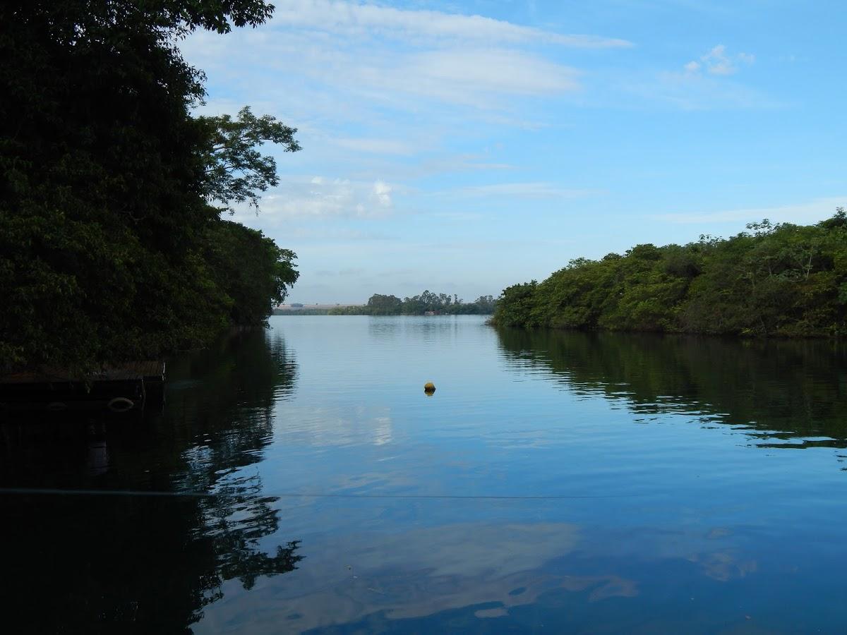 Registro de marca em Conceição das Alagoas, Minas Gerais