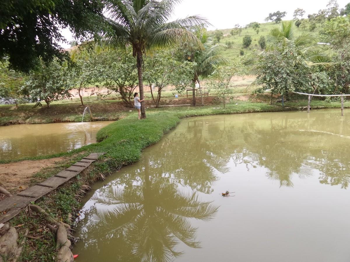 Registro de marca em Conceição de Ipanema, Minas Gerais