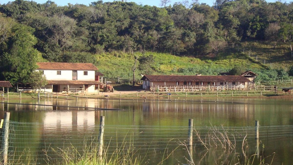 Registro de marca em Confins, Minas Gerais