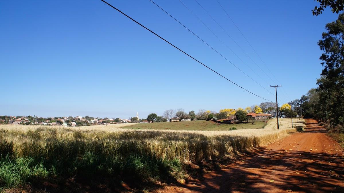 Registro de marca em Congonhinhas, Paraná
