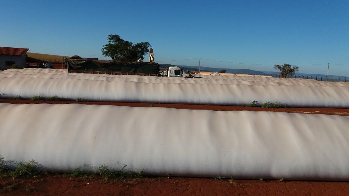 Registro de marca em Conquista, Minas Gerais