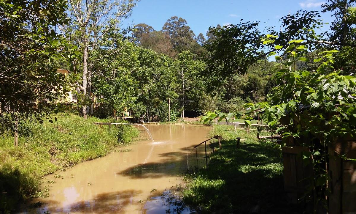 Registro de marca em Coqueiro Baixo, Rio Grande do Sul