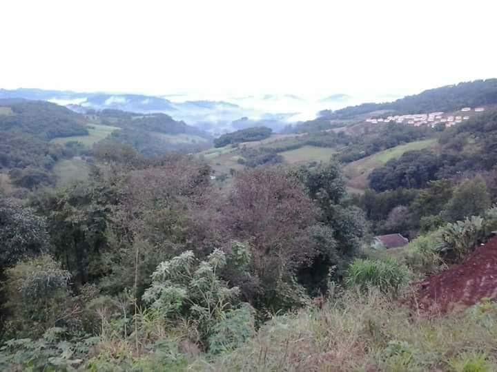Registro de marca em Cordilheira Alta, Santa Catarina