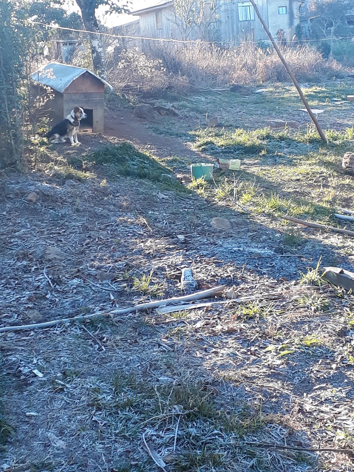 Registro de marca em Coronel Domingos Soares, Paraná