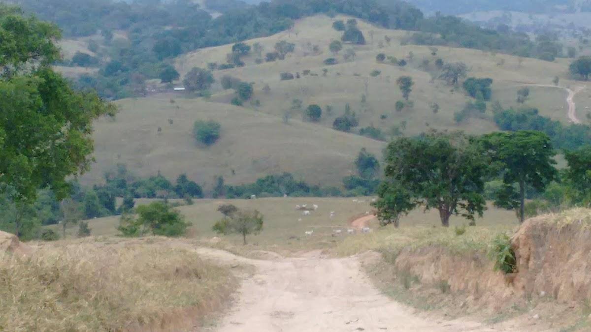 Registro de marca em Córrego do Ouro, Goiás