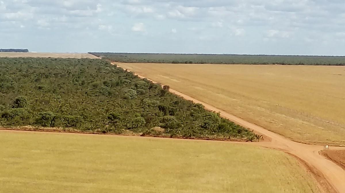 Registro de marca em Corrente, Piauí